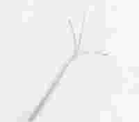 内窥镜用异物钳