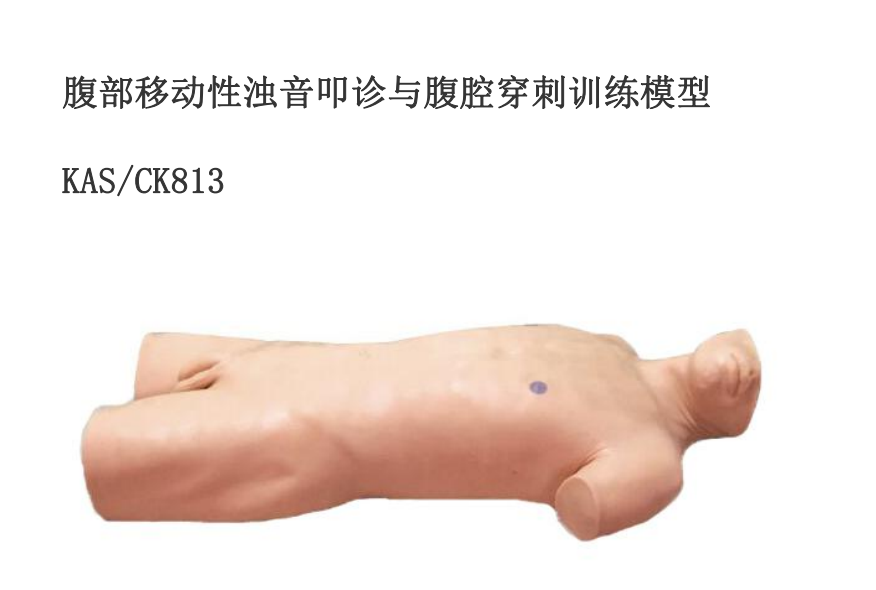 腹腔穿刺训练模型