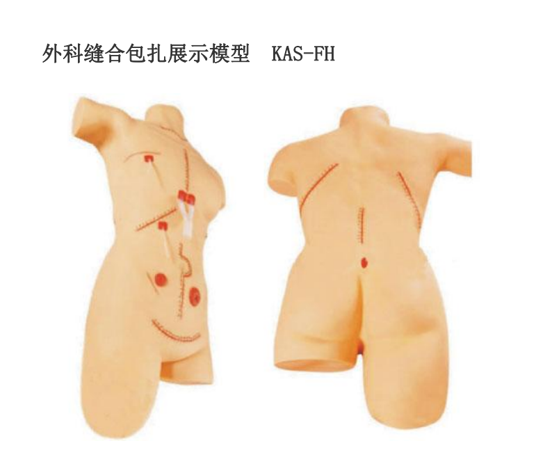 外科缝合包扎展示模型
