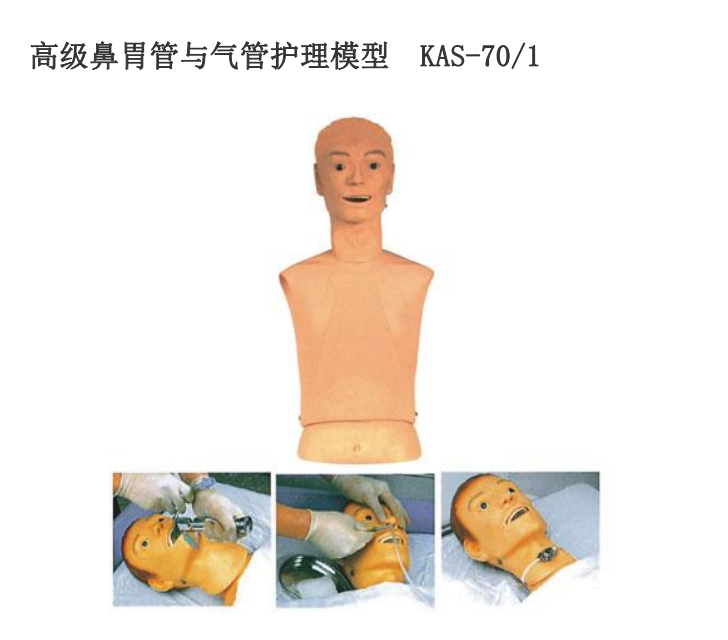 高级鼻胃管与气管护理模型