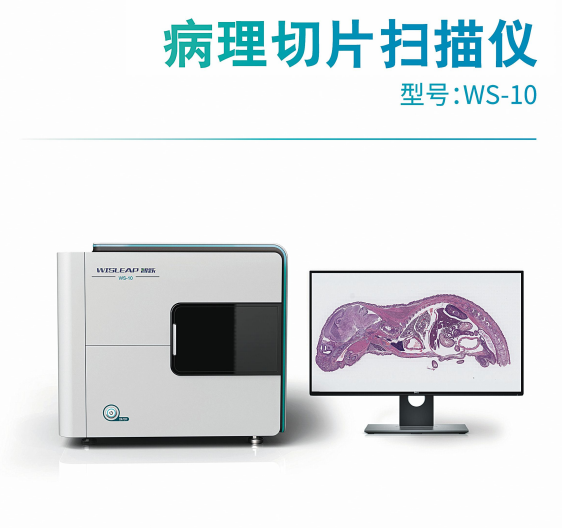 病理切片扫描仪