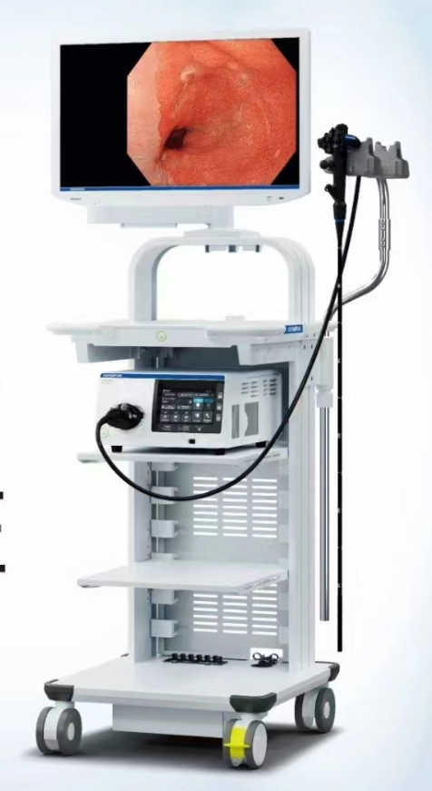 胃肠镜