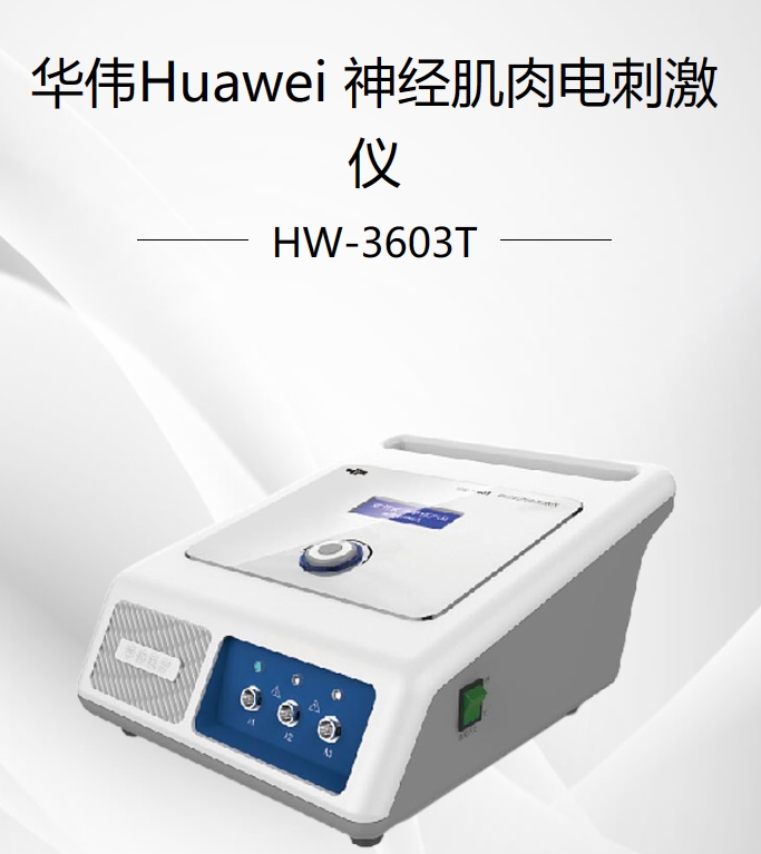 神经肌肉电刺激仪