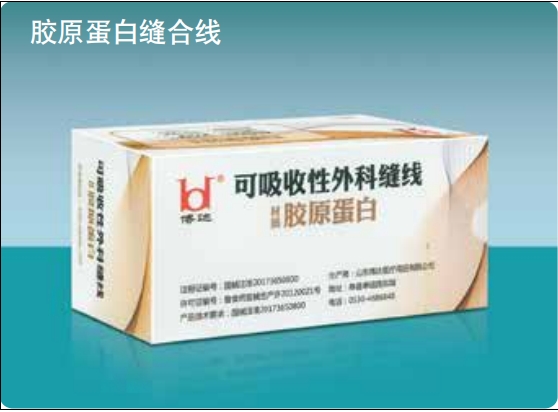 可吸收性外科缝线