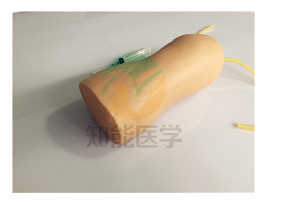 高级肘部静脉穿刺训练模型