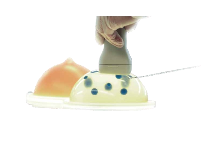 超声引导下乳腺活检模型