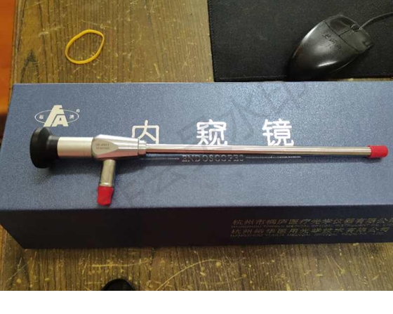 喉内窥镜