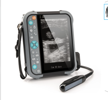 掌上防水兽用超声