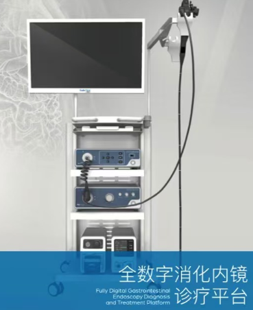 电子胃肠镜系统