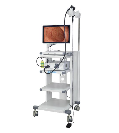 1.5米高清动物电子胃肠镜