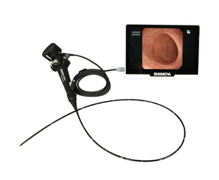 Φ3.8mm小动物内窥镜