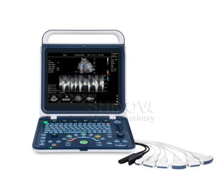 便携式兽用彩超诊断仪
