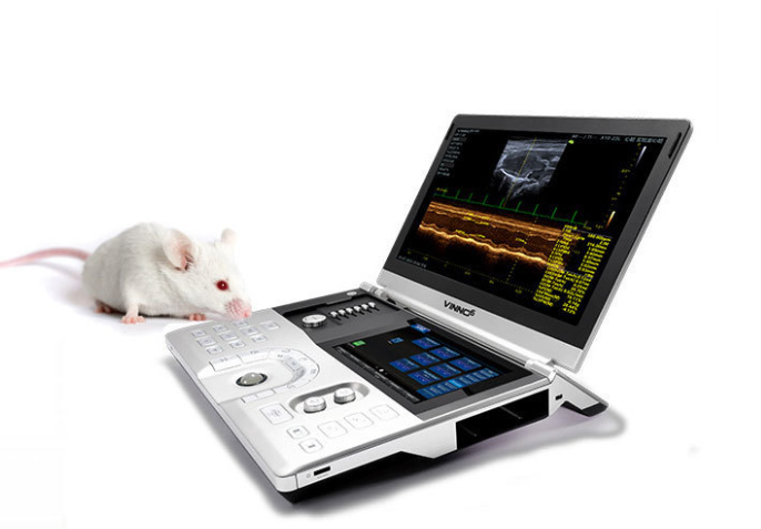 便携式小动物超声