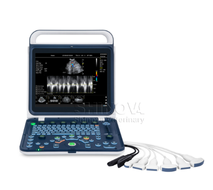 便携式兽用彩超诊断仪