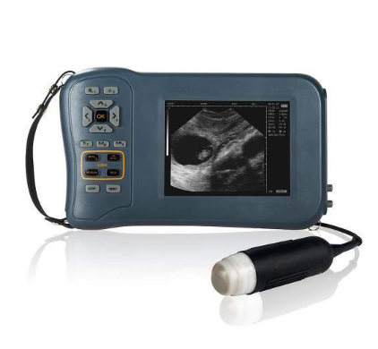 手持式兽用B超诊断仪