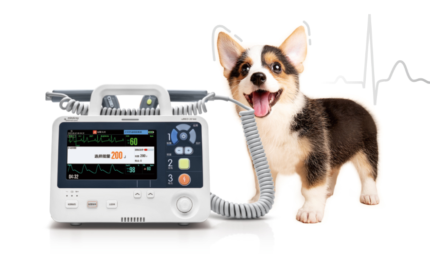 动物除颤监护仪