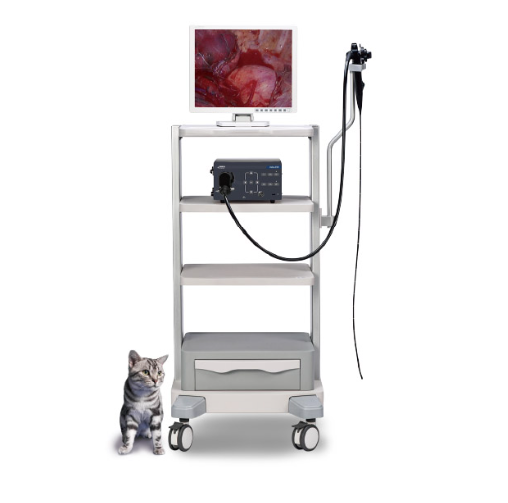 兽用内窥镜图像系统