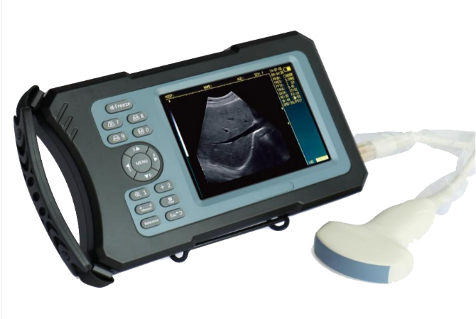 手持式兽用B超（中英版本）