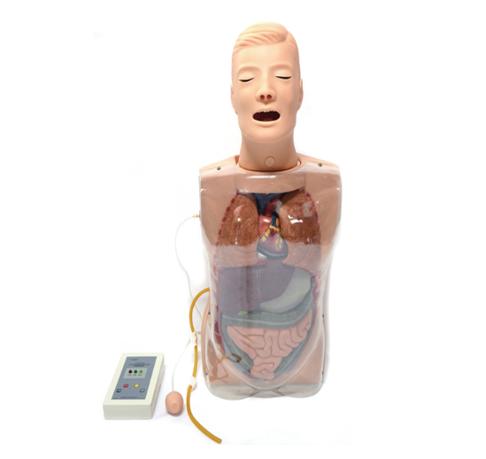多功能透明洗胃模型