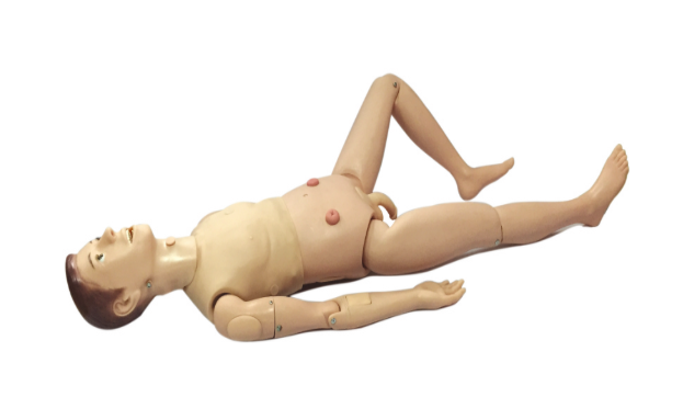 高级关节螺丝固定新型多功能护理人实习模型