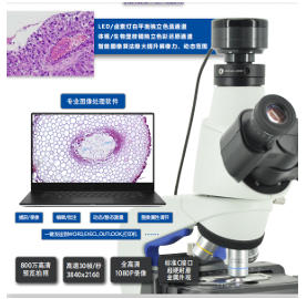 显微镜相机