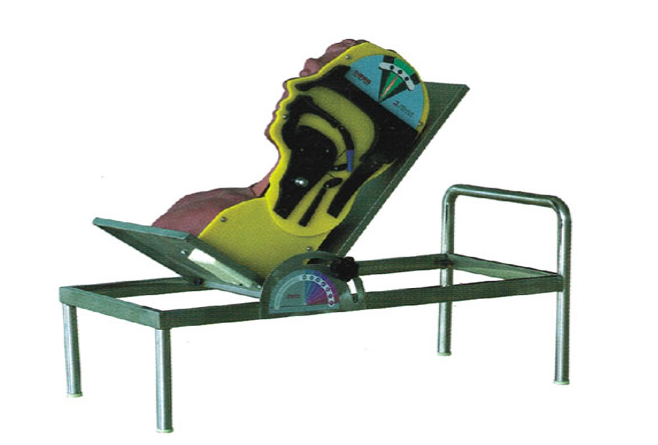 吞咽与呼吸机制演示模型