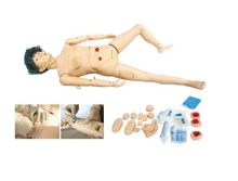 高级全功能老年护理人（女性）