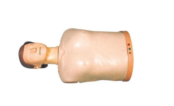 简易型心肺复苏模拟人