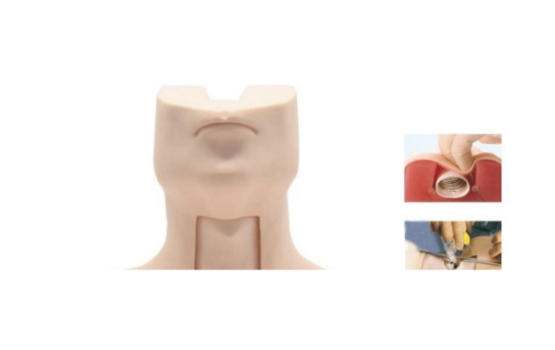 高级环甲膜穿刺及气管切开插管训练模型