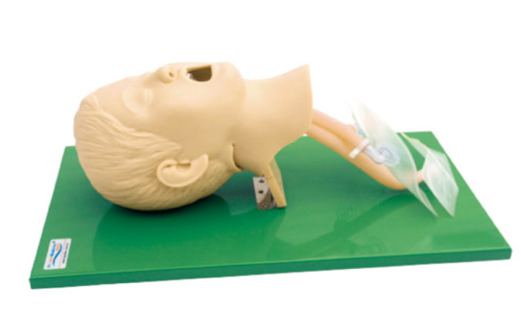 高级环甲膜穿刺及气管切开插管训练模型