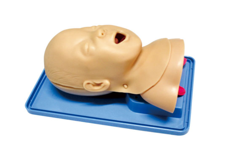婴儿气管插管训练模型
