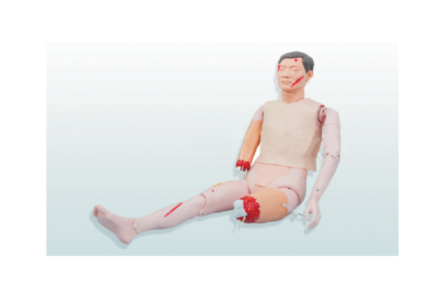 开放性伤口止血包扎模型