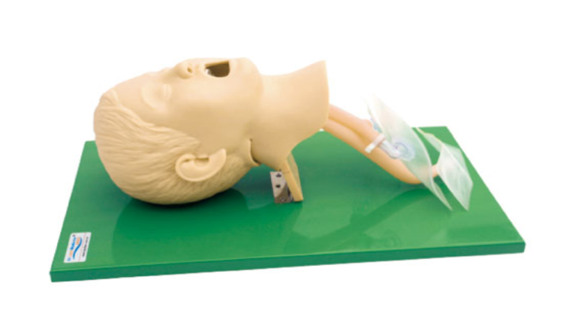 高级儿童气管插管模型