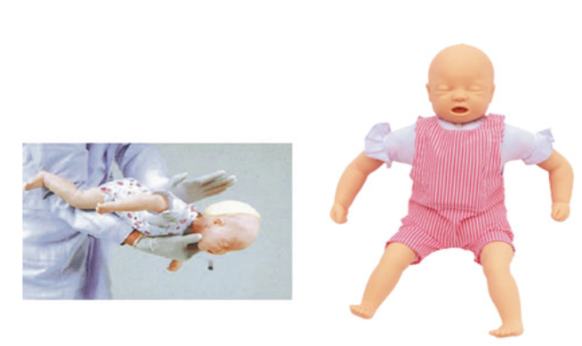 高级新生婴儿护理模型(男)