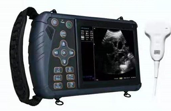 掌上兽用超声诊断仪（动物）