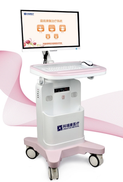 生物反馈治疗仪（【盆底】）