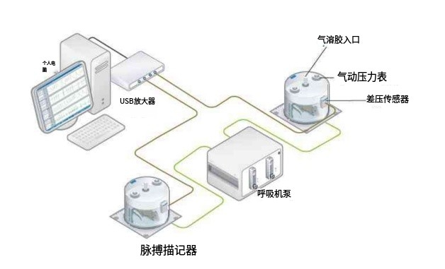 动物肺功能检测系统