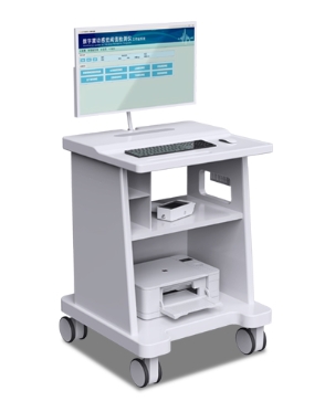 数字震动感觉阈值检测仪
