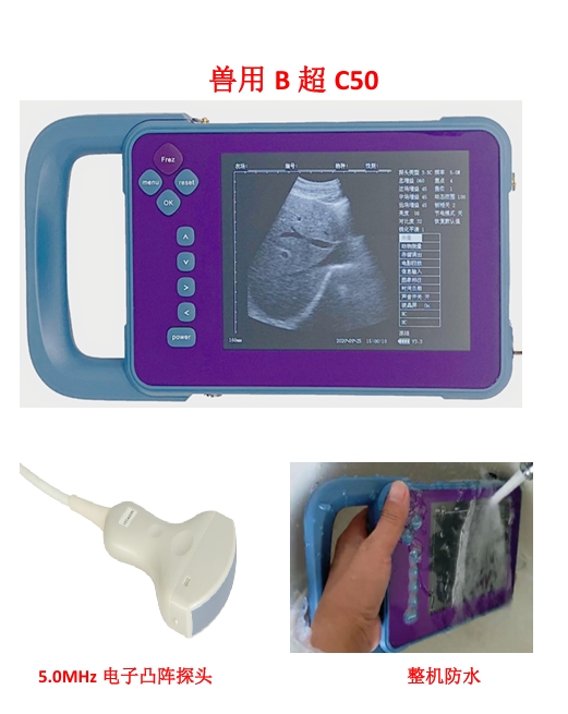 兽用B超（动物）
