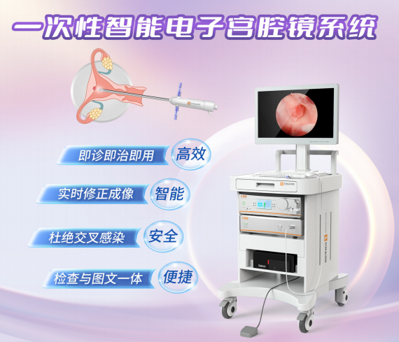 一次性使用电子宫腔成像导管