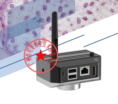 显微镜成像系统