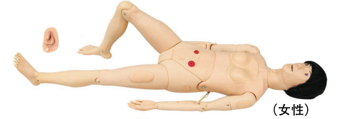 高级组合式基础护理人训练模型（女）