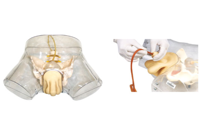 透明男导尿模型