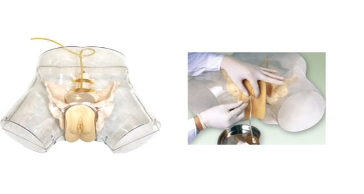 透明女导尿模型