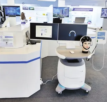 脑机智能人工神经信息系统