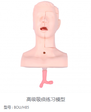 高级吸痰练习模型