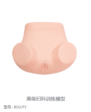 高级妇科训练模型