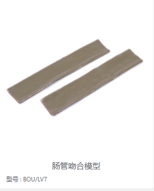 肠管吻合模型