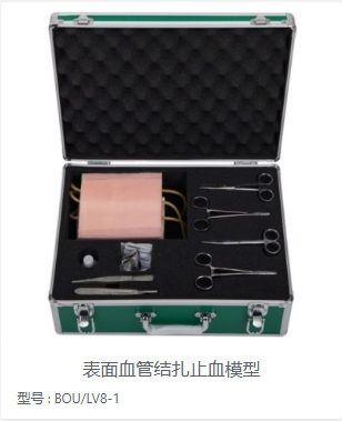 表面血管结扎止血模型