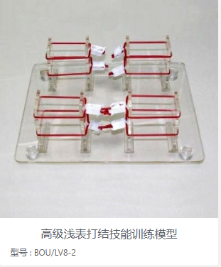 高级浅表打结技能训练模型